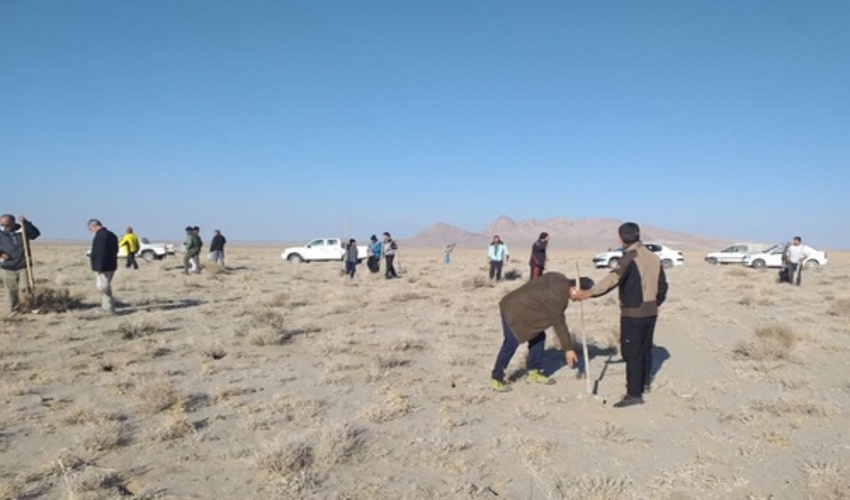 600 هکتار از عرصه های طبیعی شهربابک بذرکاری شد.