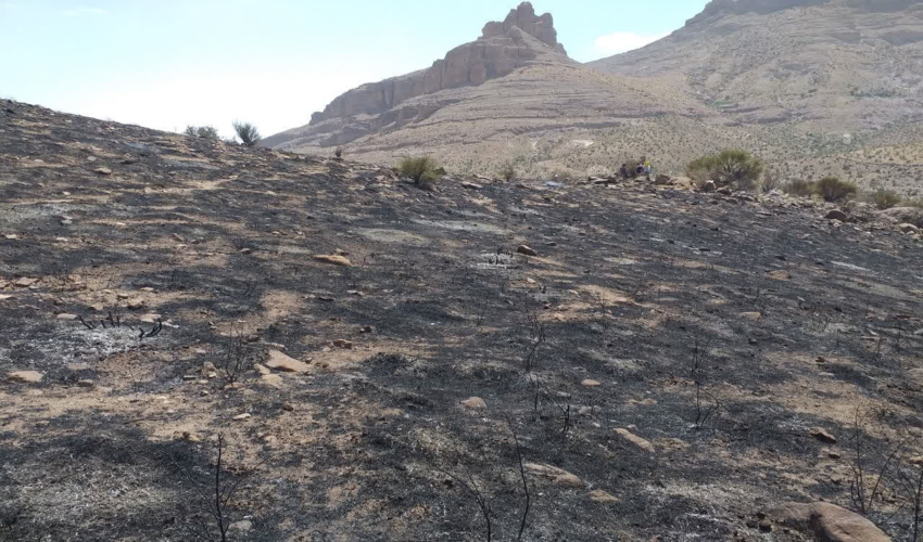 30 هزار مترمربع از عرصه های منابع طبیعی شهرستان شهربابک طعمه حریق شد.