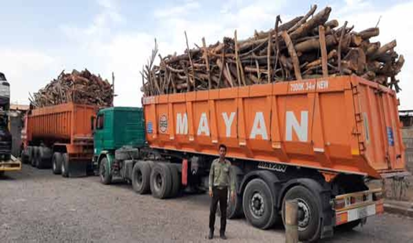 جلوگیری از قاچاق چوب غیر مجاز در شهرستان بم 