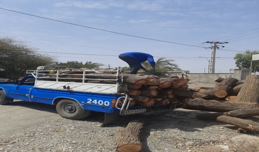 جلوگیری از قاچاق بیش از 4 تن چوب در شهرستان ارزوئیه
