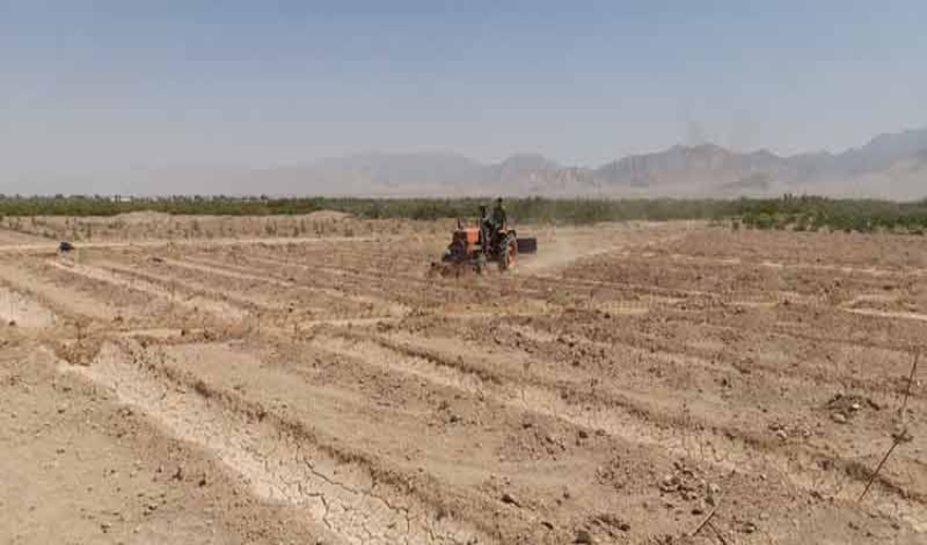 رفع تصرف 2500 مترمربع از اراضی ملی شهرستان رفسنجان