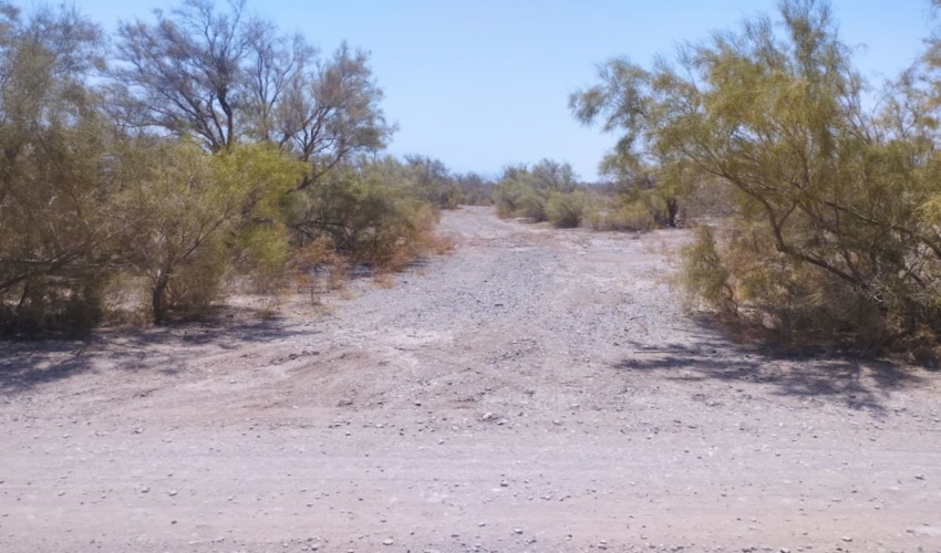 مسدود نمودن مسیرهای منتهی به تاغزارهای حسین آباد خان شهرستان کرمان