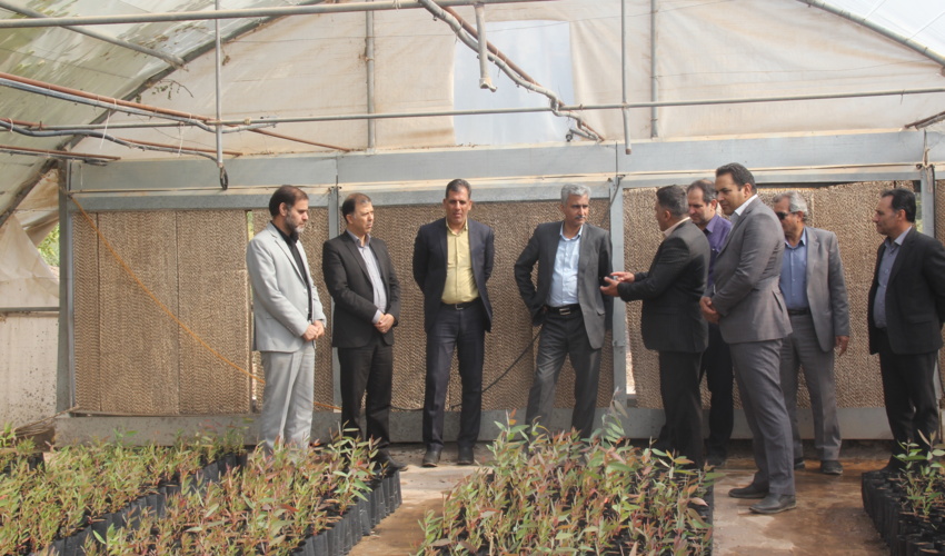 کاشت یک میلیارد درخت در ایران با هدف کاهش گازهای گلخانه‌ای، جلوگیری از تخریب منابع طبیعی و سرزمین  انجام می شود