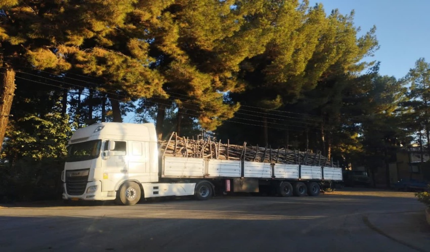 توقیف خودرو حامل چوب غیرمجاز