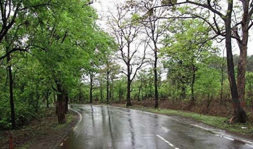 برنامه های سازمان منابع طبیعی برای ال نینو در حال تدوین است