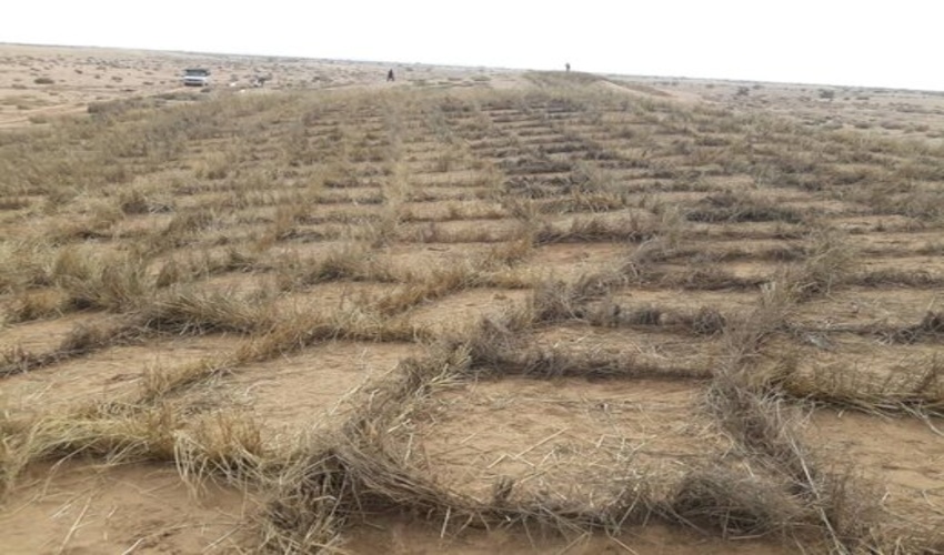 طرح مالچِ پوشالی ایران قابلیت اجرا برای بیابانزدایی در کشورهای منطقه دارد