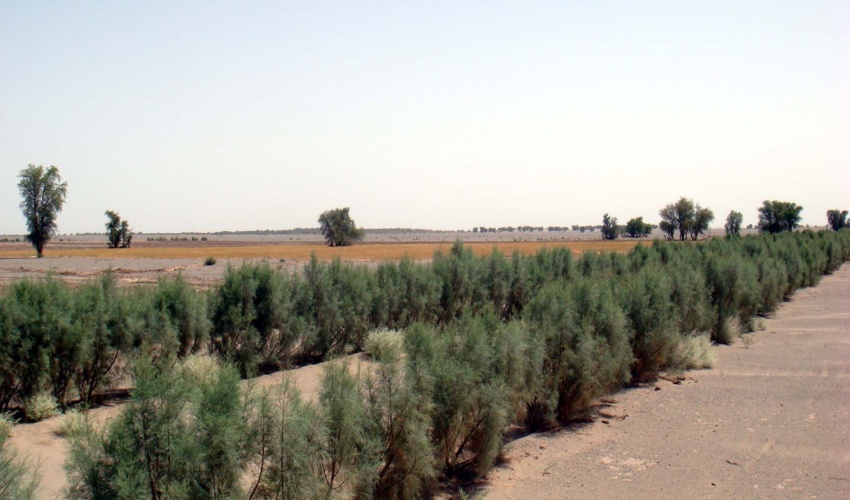 14 شهرستان استان تحت‌تأثیر فرسایش‌باد هستند