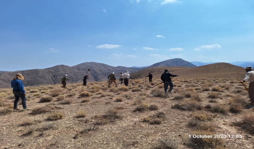 آغاز کاشت بذورگیاهان دارویی و مرتعی در سطح مراتع استان 