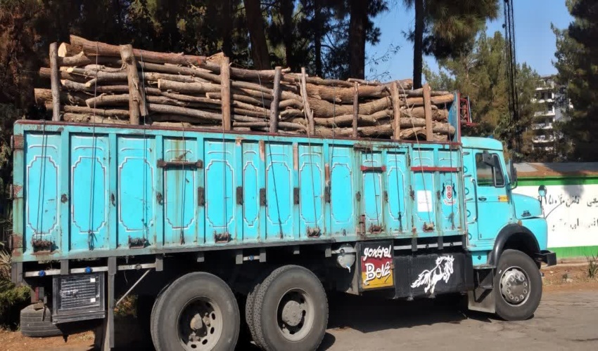 توقیف یک دستگاه خودرو حامل چوب‌ قاچاق جنگلی در کرمان