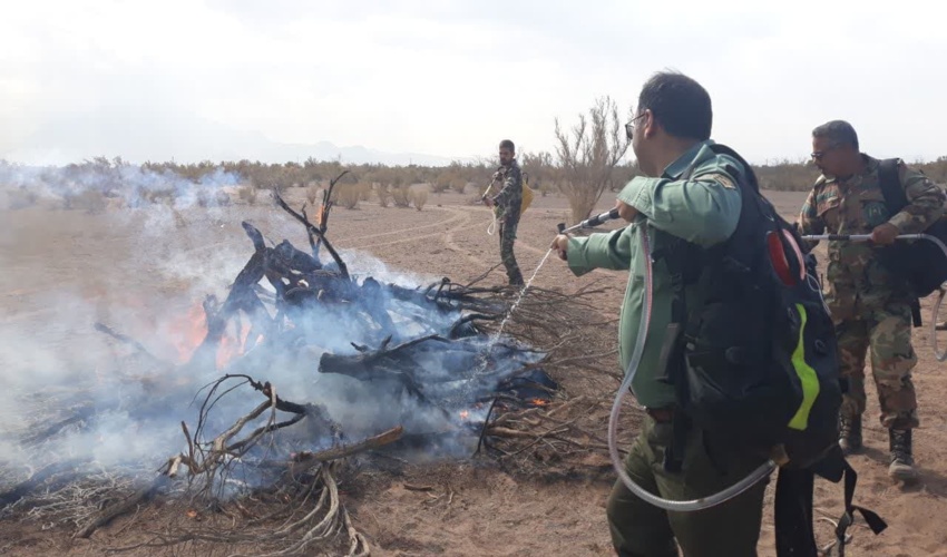 حریق مهمترین عامل تهدید کننده عرصه های جنگلی و مرتعی در کشور 