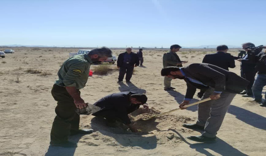 آغاز طرح مردمی کاشت  یک میلیارد نهال در شهرستان راور هم زمان با سراسر کشور