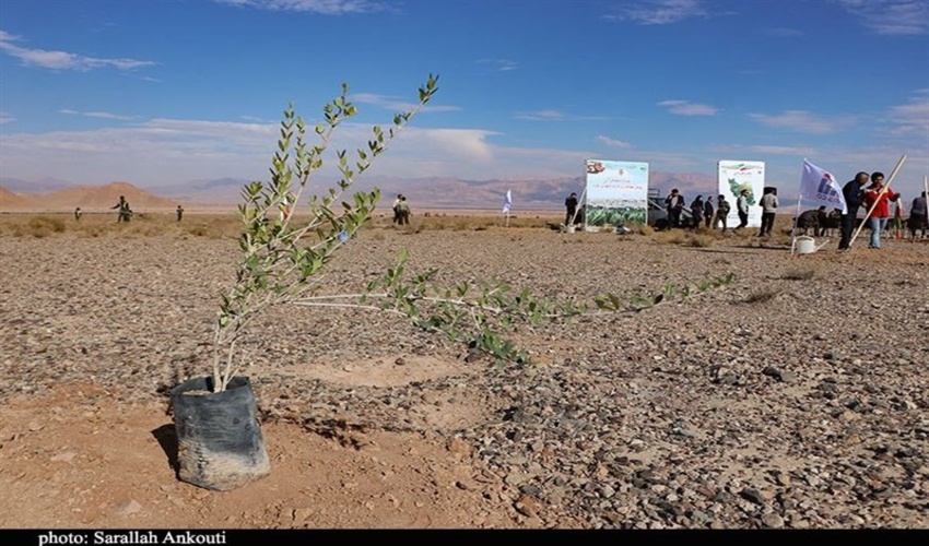 گزارش تصویری/آغاز طرح مردمی کاشت یک میلیارد درخت همزمان با نواخته شدن زنگ درختکاری در شهرستان های استان کرمان 