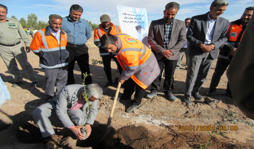 برگزاری پویش صبح زیتون و غرس نهال در شهرستان انار