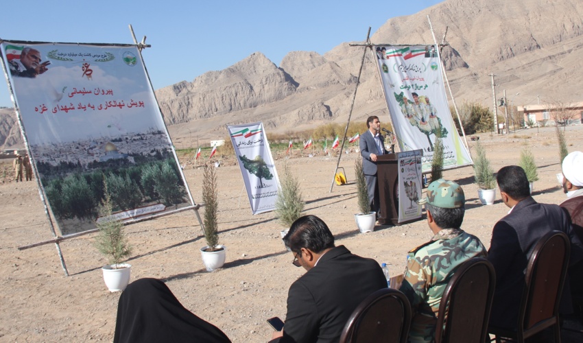 کاشت ۲ هزار اصله درخت در مرکز آموزشی صفر پنج کرمان