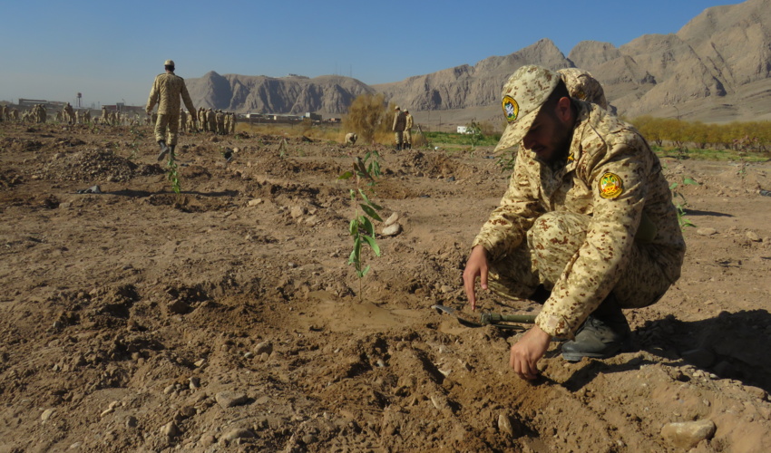 همکار خبرنگار: سید محمد آرامش از کرمان 