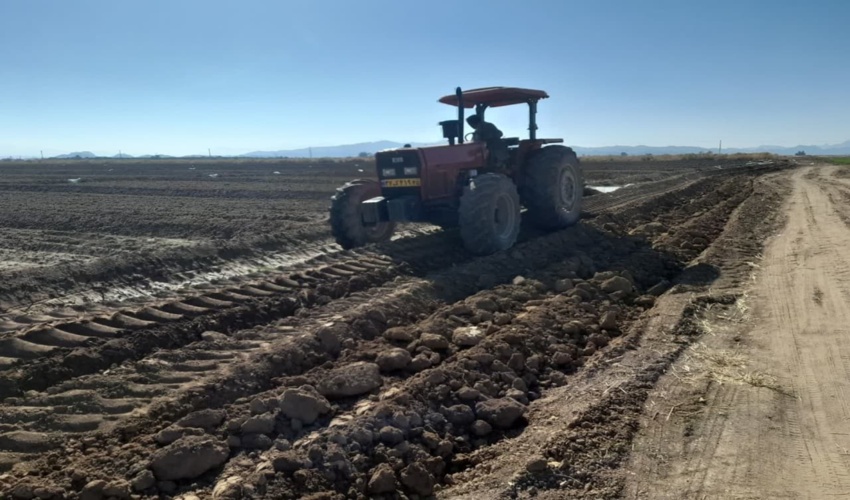 بیش از 13 هکتار از اراضی ملی شهرستان ارزوئیه خلع ید و به دولت باز گردانده شد