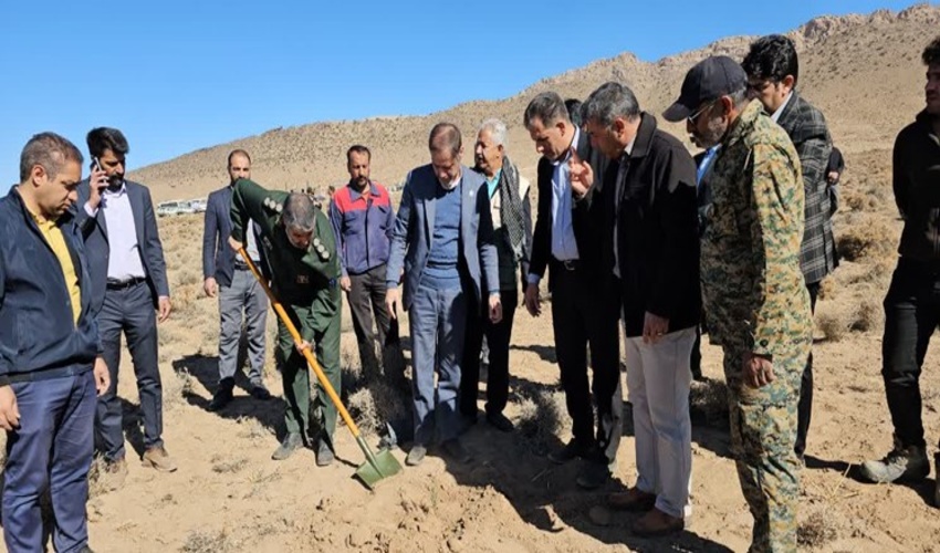 کاشت 10 هزار درخت توسط گروه‌های جهادی در زرند