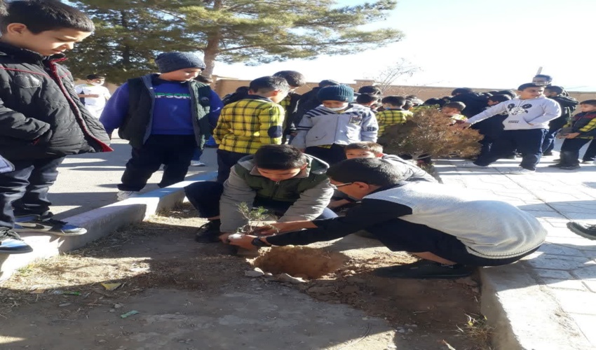 غرس نهال در مدارس شهرستان کوهبنان 