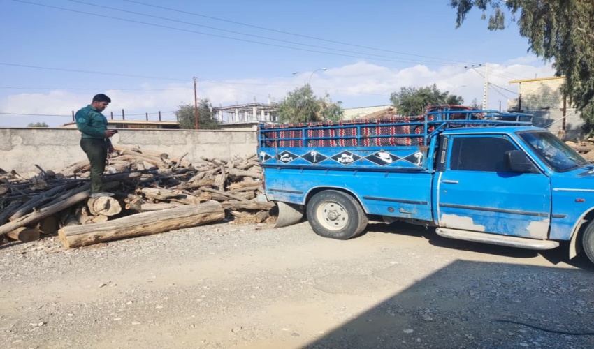 کشف و ضبط  990 کیلوگرم چوب قاچاق در شهرستان ارزوئیه