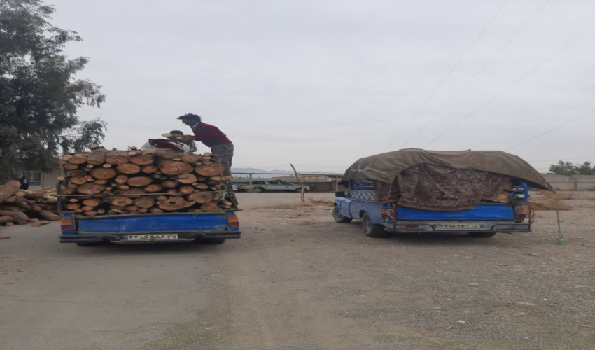 کشف و توقیف بیش از 6000 کیلوگرم چوب  قاچاق در شهرستان ارزوئیه 