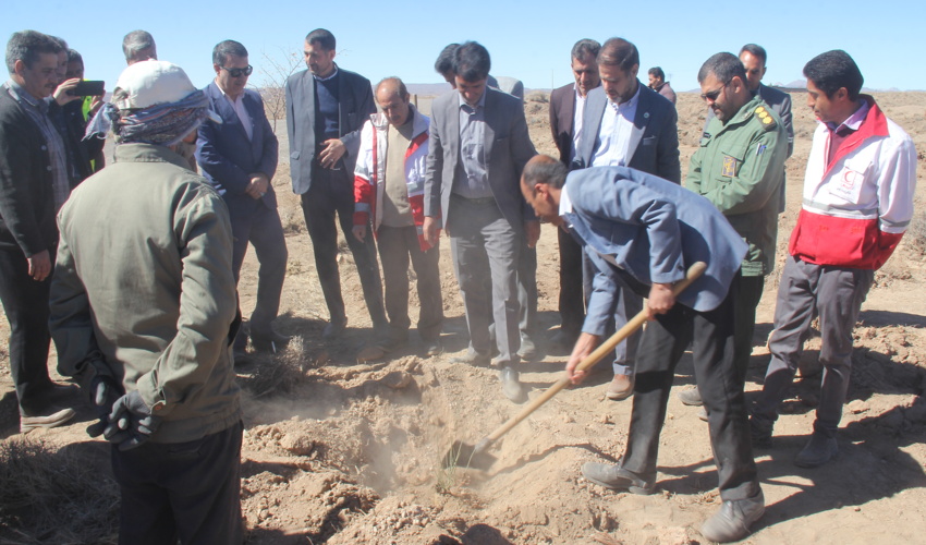 کاشت 9 هزار اصله نهال در گوغر و منطقه عمومی شهرستان بافت 