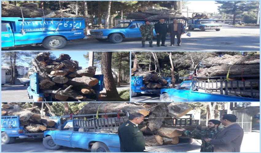 کشف و توقیف بیش از 3هزار کیلوگرم محموله چوب بدون مجوز حمل 