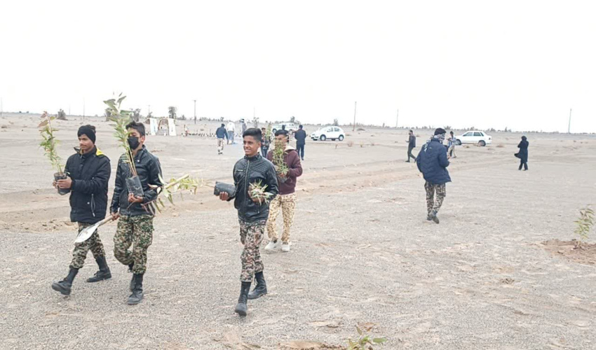 گزارش تصویری/آغاز کاشت 500 هزار اصله نهال در شهرستان های استان کرمان 