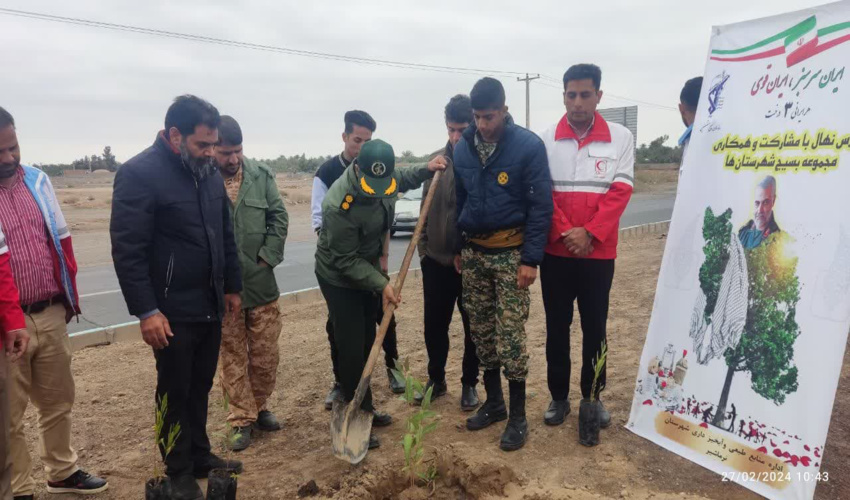 غرس 6 هزار اصله نهال تا پایان هفته منابع طبیعی در شهرستان نرماشیر 