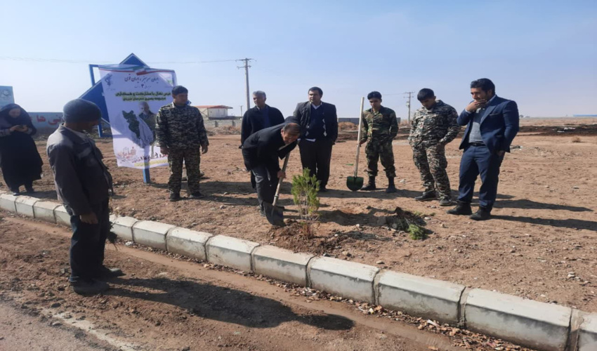 توزیع و کاشت 2 هزار اصله نهال در شهرستان سیرجان 