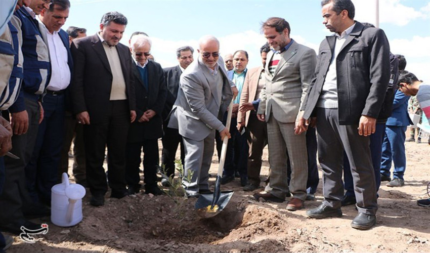 کاشت ۸ هزار اصله نهال در صنایع کرمان آغاز شد