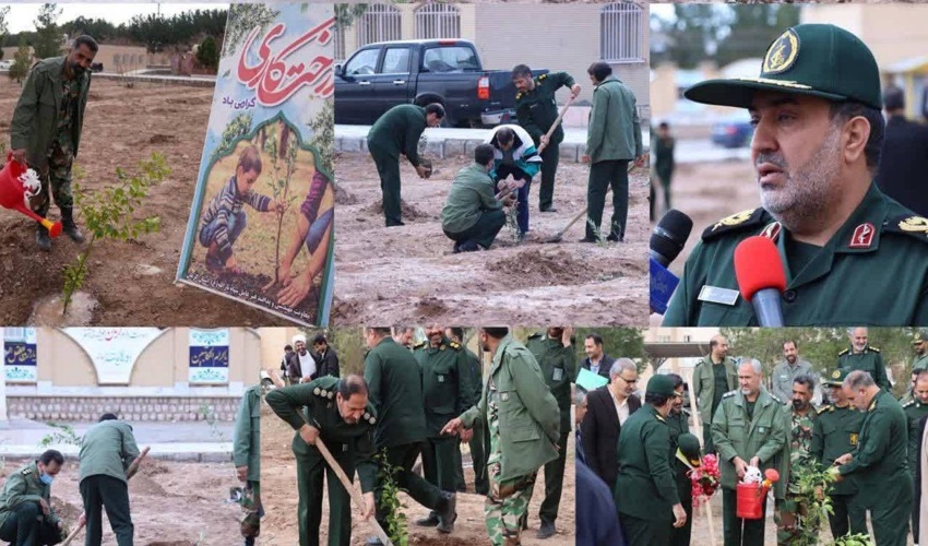 کاشت ۵ میلیون و ۶۰۰ هزار اصله نهال در کرمان