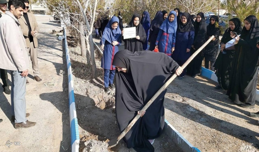 کاشت ۱۰ هزار اصله نهال در پارک طبیعت و مدارس انار