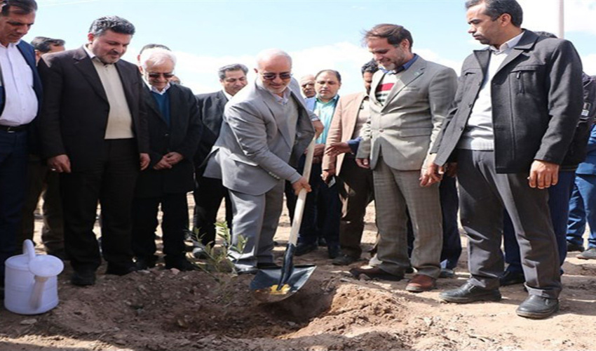 'گزارش تصویری/ درختکاری در محل کارخانه سیمان ممتازان کرمان 