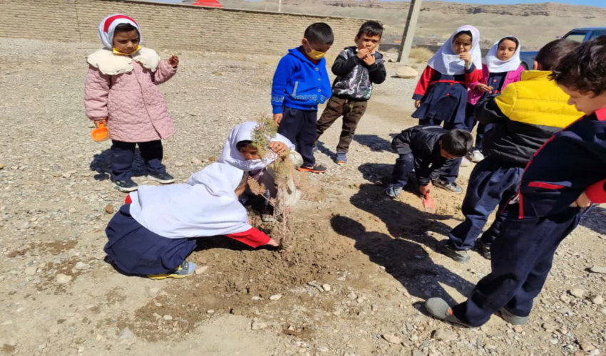 آیین کاشت درخت و پویش نهال کاری در بخش خبر شهرستان بافت 