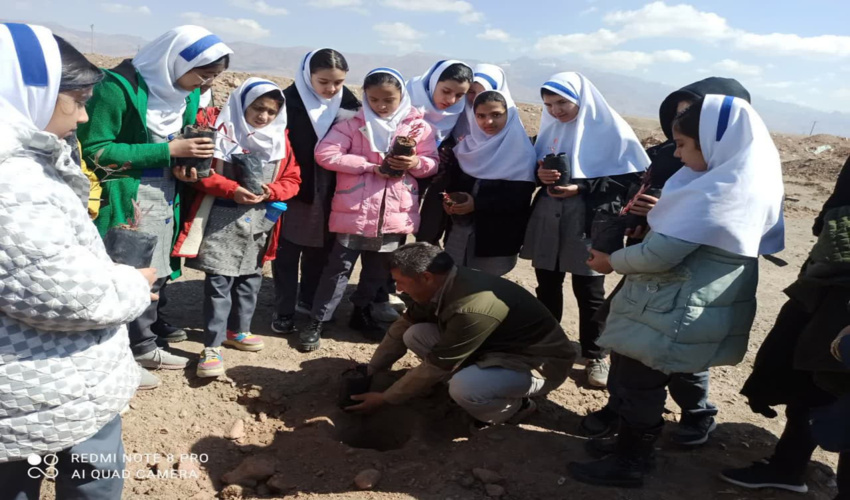 کاشت نهال در دومین روز از هفته منابع طبیعی در شهرستان زرند 