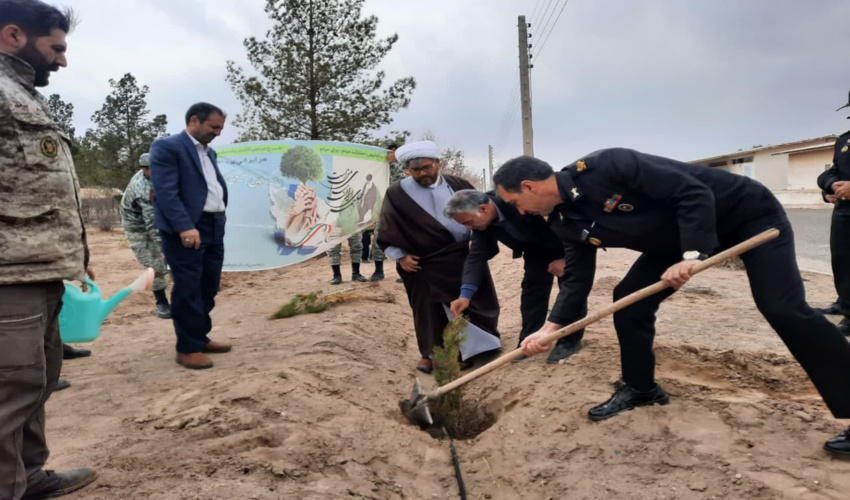 غرس نهال در پایگاه دریایی شهرستان سیرجان 