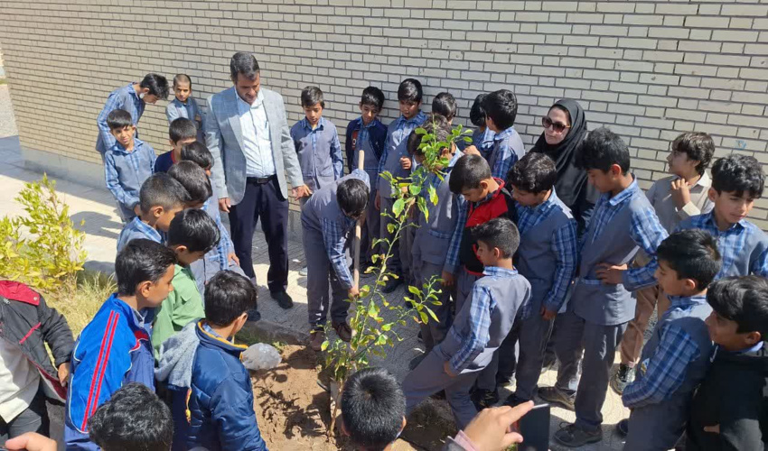 درختکاری گام بلندی در احیای عرصه های منابع طبیعی است