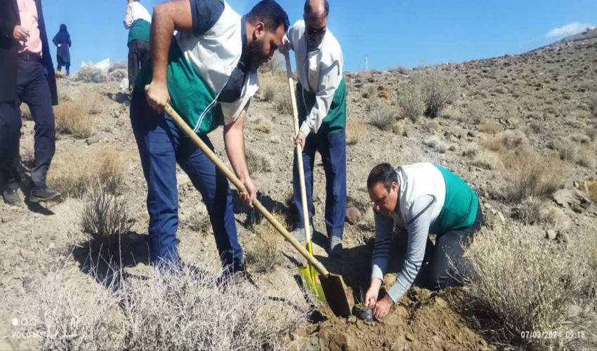 تداوم کاشت یک میلیارد درخت در هفته منابع طبیعی در شهرستان رابر