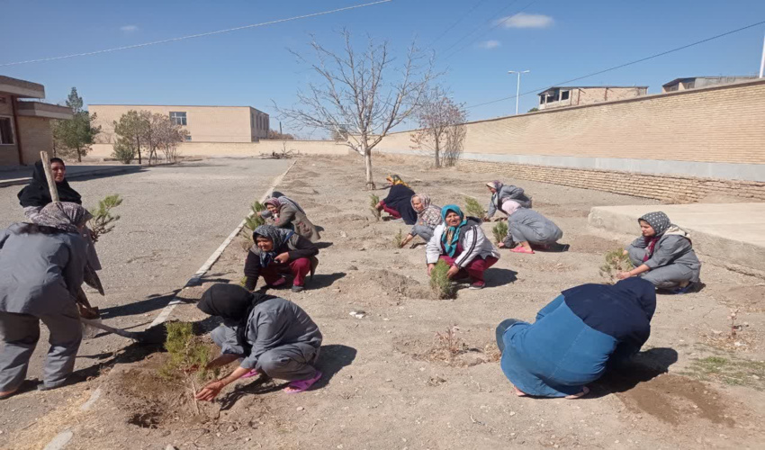آیین کاشت درختکاری در مرکز توانبخشی اداره بهزیستی شهرستان بافت