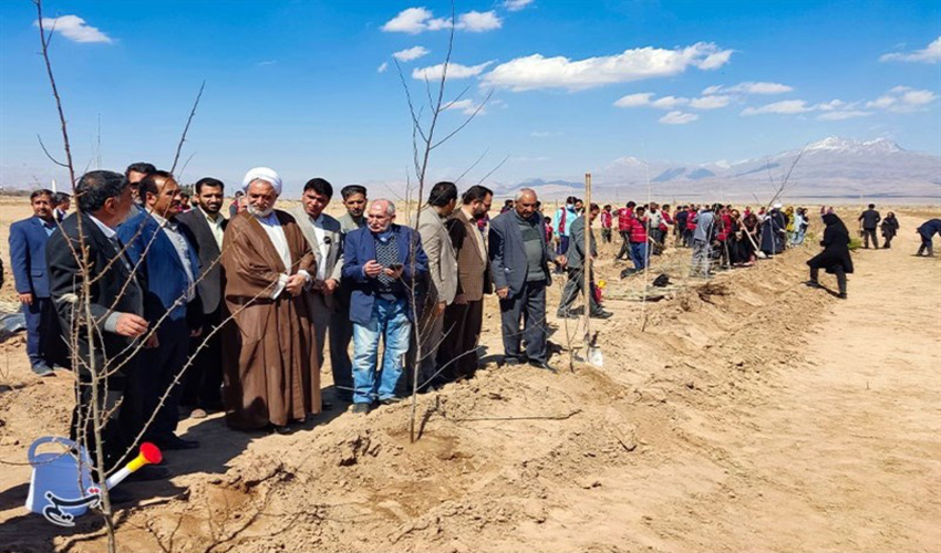غرس ۳۵ هزار نهال در کشت و صنعت بنیاد تعاون زندانیان کرمان