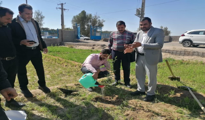 درختکاری با شعار مسئولیت اجتماعی و مشارکت های مردمی