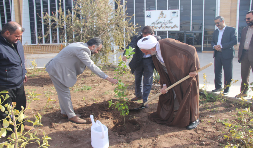 غرس سه اصله نهال توسط رئیس کل دادگستری استان کرمان
