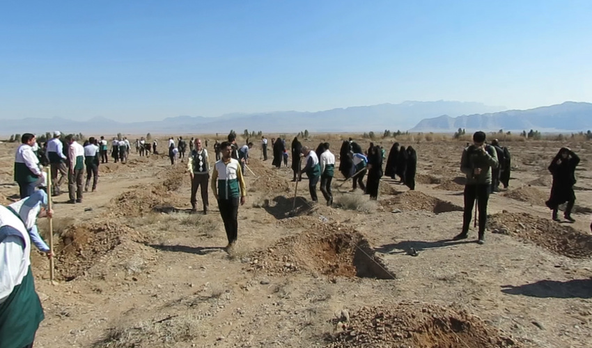 کاشت نهال با حضور خادمیاران رضوی در کرمان 