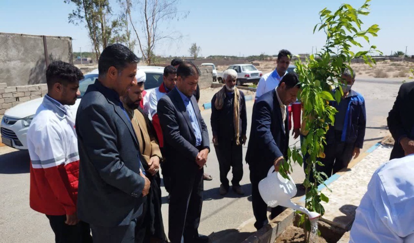 ترویج و کشت سنت حسنه نهال با تاسی به سیره نورانی امام علی( ع)