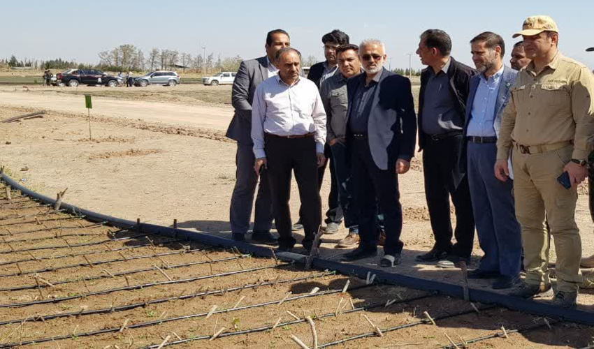 بازدید رئیس سازمان منابع طبیعی و آبخیزداری کشور از نهالستان جاده جوپار  کرمان 
