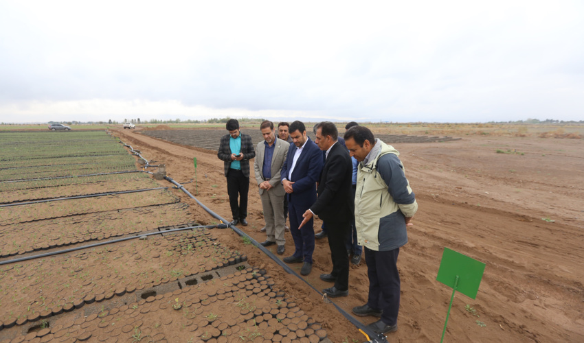 تاکید رئیس ستاد ملی جوانان و نخبگان وزارت جهاد کشاورزی بر اجرای طرح مردمی کاشت یک میلیارد درخت 