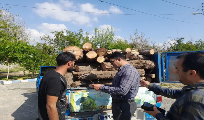 کشف و توقیف بیش از 2 هزار کیلوگرم چوب قاچاق در شهرستان ارزوئیه