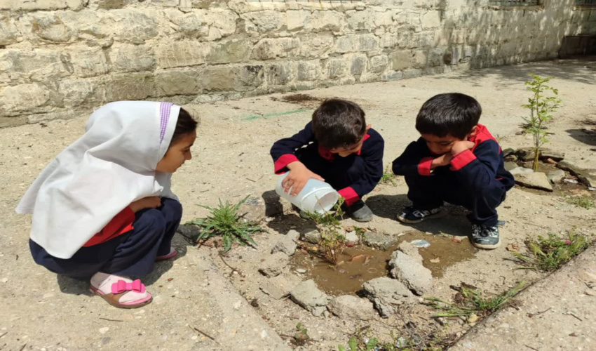 ترویج اهمیت درختداری 