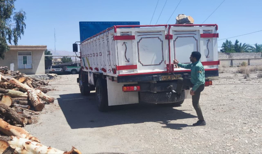 توقیف خودروی حامل چوب قاچاق در شهرستان ارزوئیه