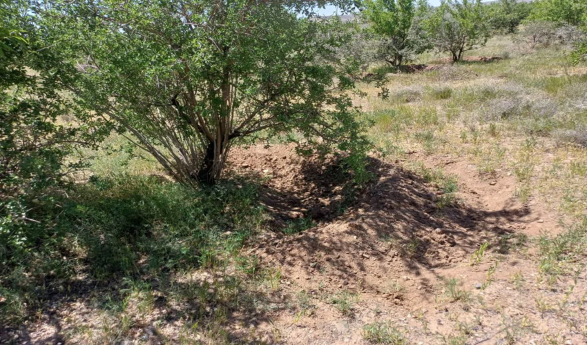 بالا بردن توان اقتصادی دامداران و مرتعداران با اجرای عملیات بیومکانیکی